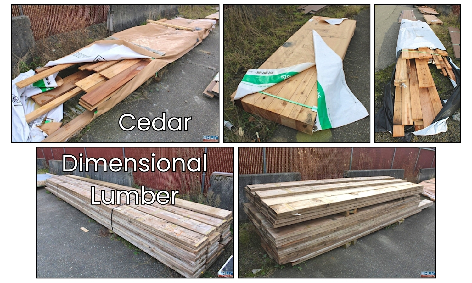 Cedar (3)
